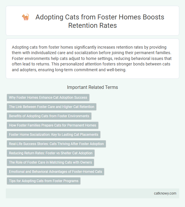 Adopting Cats from Foster Homes Boosts Retention Rates