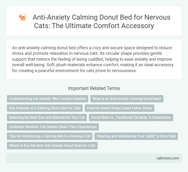 Anti-Anxiety Calming Donut Bed for Nervous Cats: The Ultimate Comfort Accessory