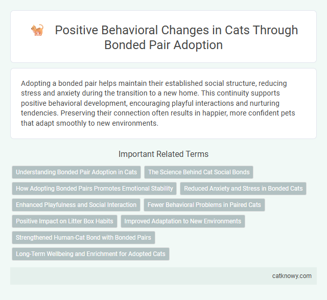 Positive Behavioral Changes in Cats Through Bonded Pair Adoption