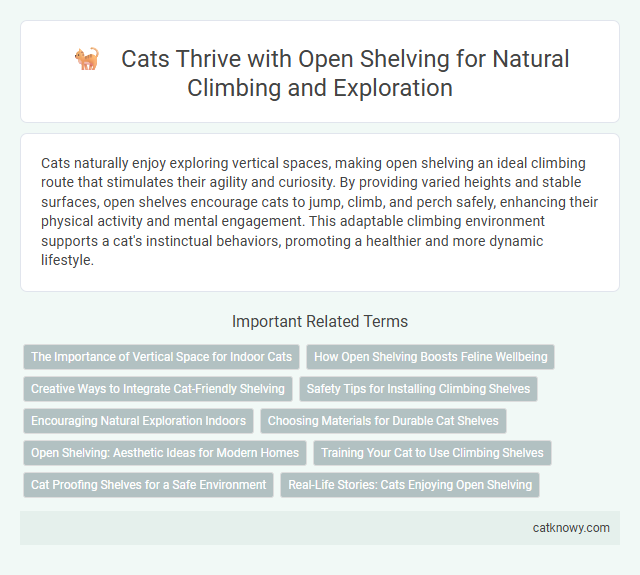 Cats Thrive with Open Shelving for Natural Climbing and Exploration