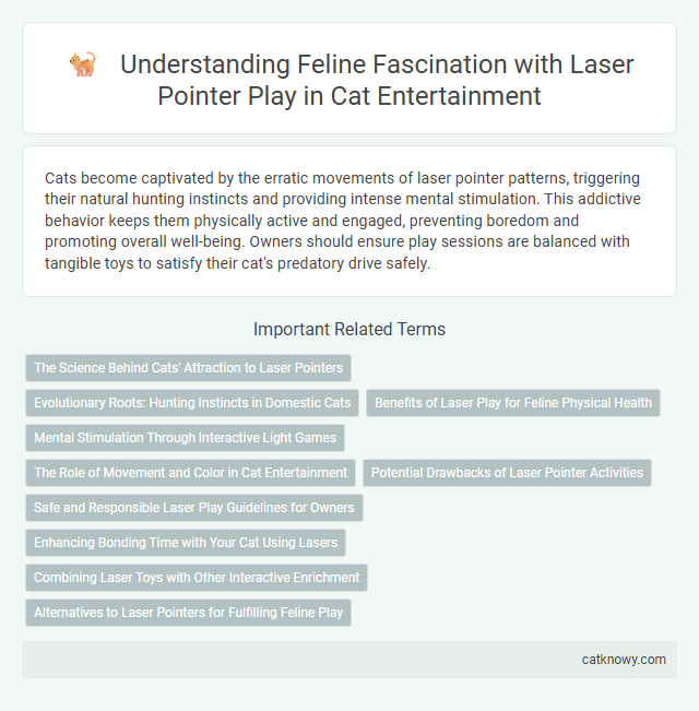 Understanding Feline Fascination with Laser Pointer Play in Cat Entertainment