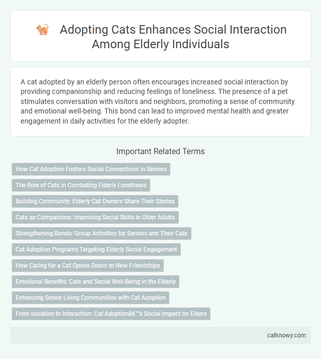 Adopting Cats Enhances Social Interaction Among Elderly Individuals