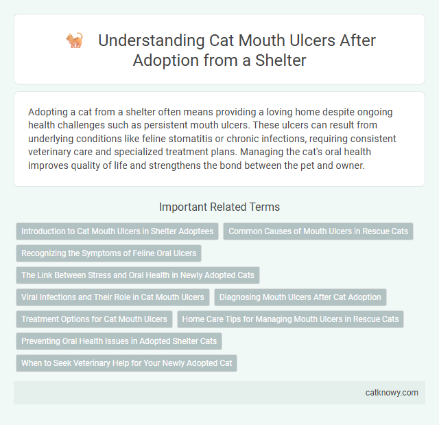 Understanding Cat Mouth Ulcers After Adoption from a Shelter