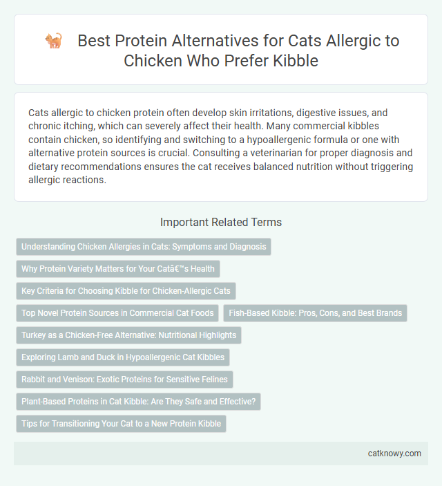 Best Protein Alternatives for Cats Allergic to Chicken Who Prefer Kibble