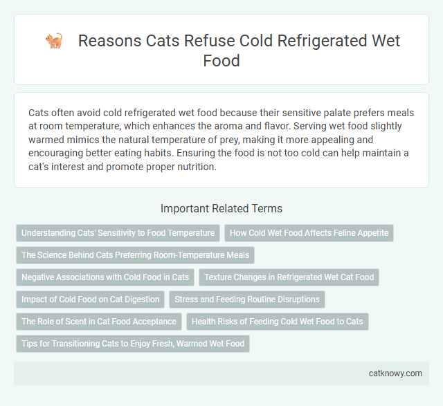 Reasons Cats Refuse Cold Refrigerated Wet Food