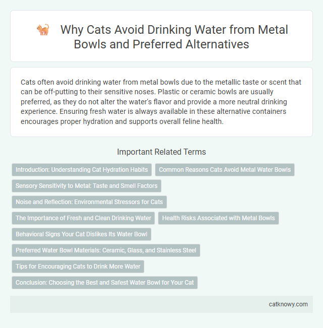 Why Cats Avoid Drinking Water from Metal Bowls and Preferred Alternatives