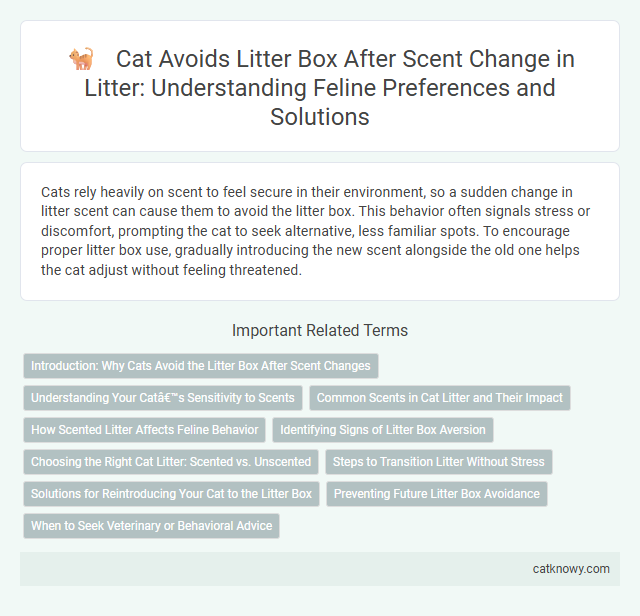 Cat Avoids Litter Box After Scent Change in Litter: Understanding Feline Preferences and Solutions
