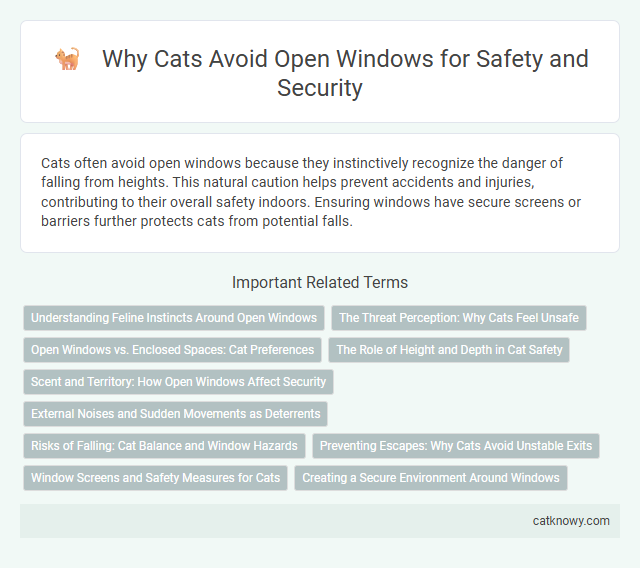 Why Cats Avoid Open Windows for Safety and Security