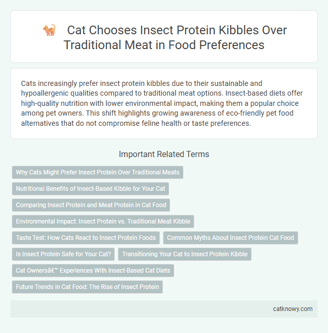 Cat Chooses Insect Protein Kibbles Over Traditional Meat in Food Preferences