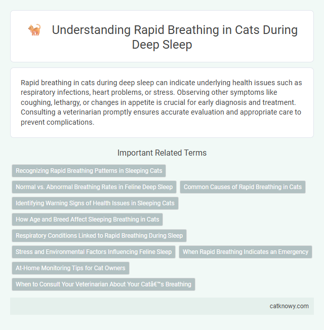 Understanding Rapid Breathing in Cats During Deep Sleep