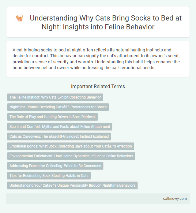 Understanding Why Cats Bring Socks to Bed at Night: Insights into Feline Behavior