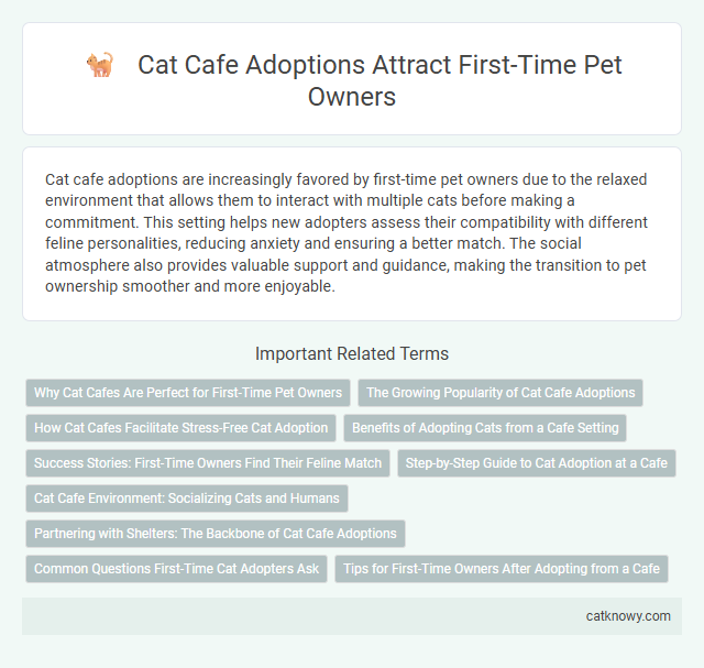 Cat Cafe Adoptions Attract First-Time Pet Owners