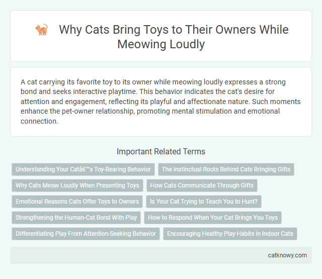Why Cats Bring Toys to Their Owners While Meowing Loudly