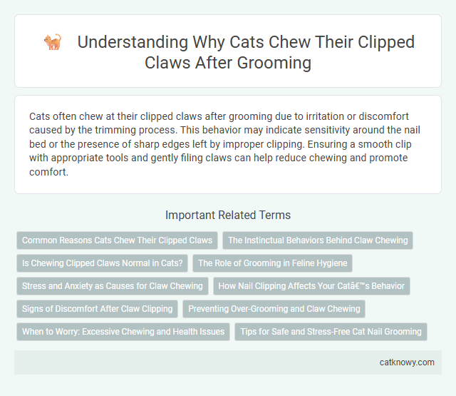 Understanding Why Cats Chew Their Clipped Claws After Grooming