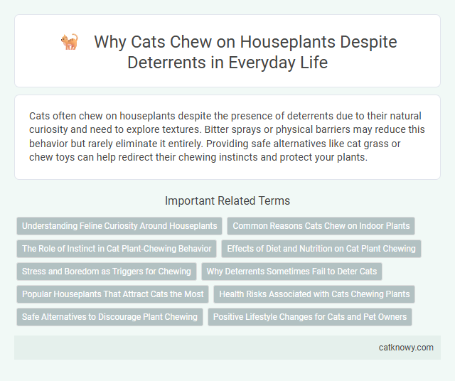 Why Cats Chew on Houseplants Despite Deterrents in Everyday Life