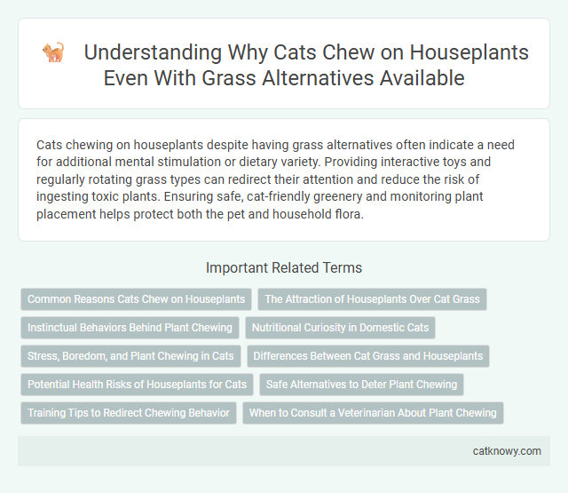Understanding Why Cats Chew on Houseplants Even With Grass Alternatives Available