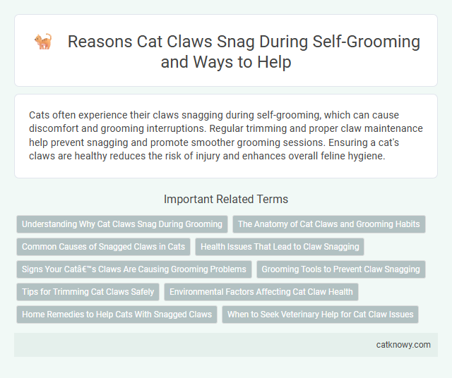Reasons Cat Claws Snag During Self-Grooming and Ways to Help