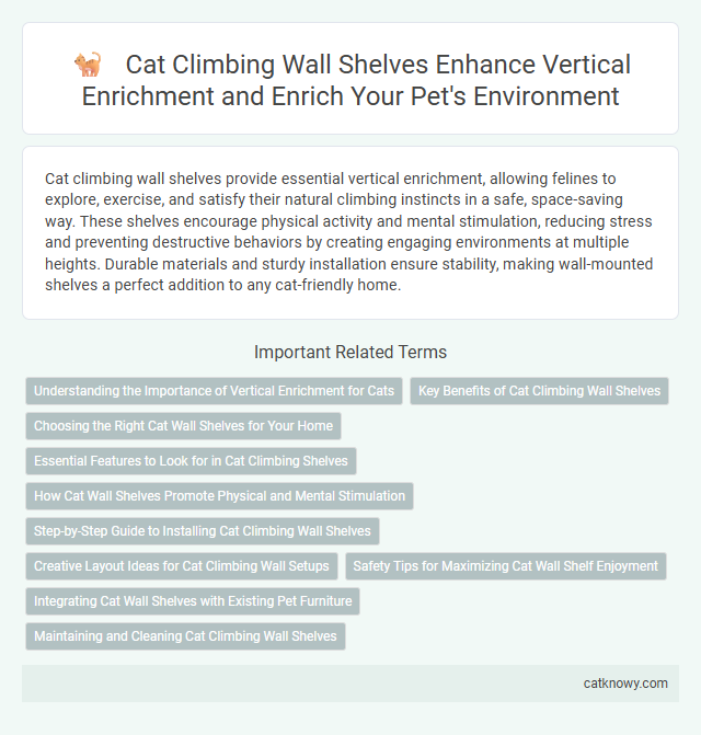 Cat Climbing Wall Shelves Enhance Vertical Enrichment and Enrich Your Pet's Environment