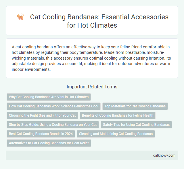Cat Cooling Bandanas: Essential Accessories for Hot Climates