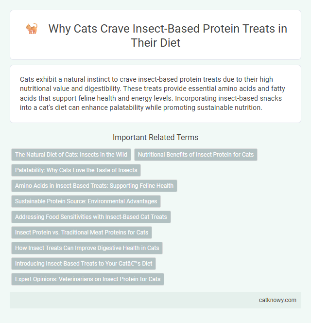 Why Cats Crave Insect-Based Protein Treats in Their Diet