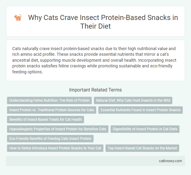 Why Cats Crave Insect Protein-Based Snacks in Their Diet