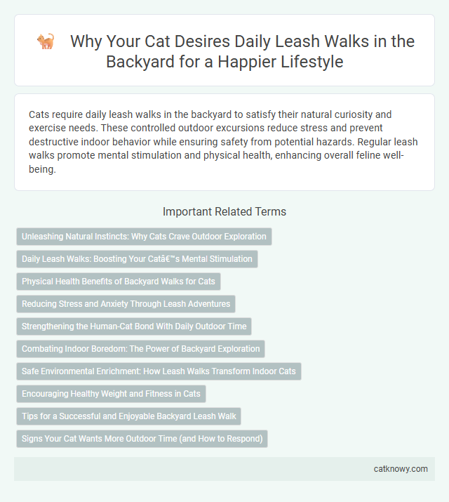 Why Your Cat Desires Daily Leash Walks in the Backyard for a Happier Lifestyle