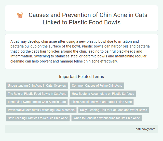Causes and Prevention of Chin Acne in Cats Linked to Plastic Food Bowls