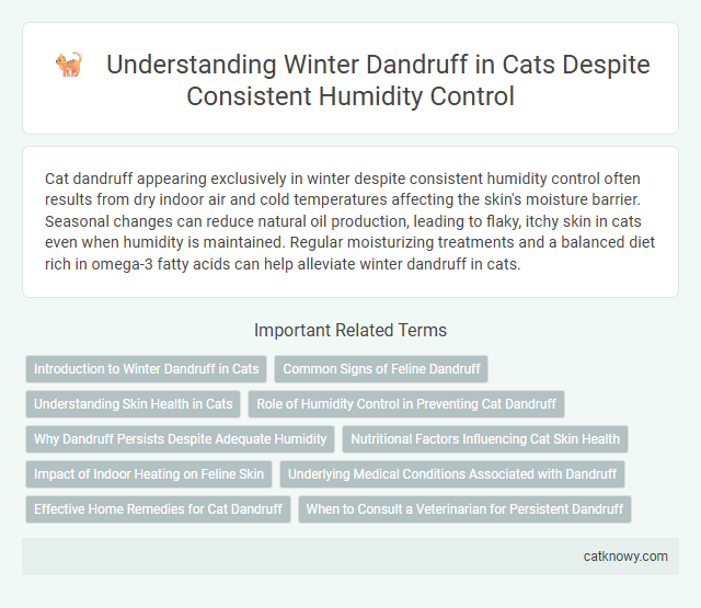 Understanding Winter Dandruff in Cats Despite Consistent Humidity Control