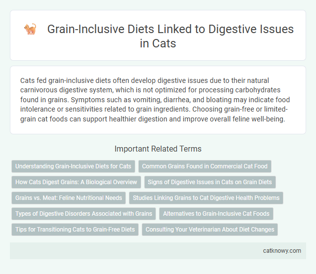 Grain-Inclusive Diets Linked to Digestive Issues in Cats