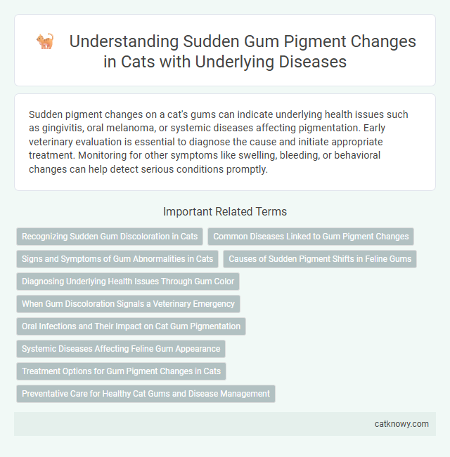 Understanding Sudden Gum Pigment Changes in Cats with Underlying Diseases