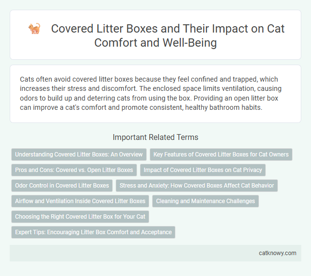 Covered Litter Boxes and Their Impact on Cat Comfort and Well-Being