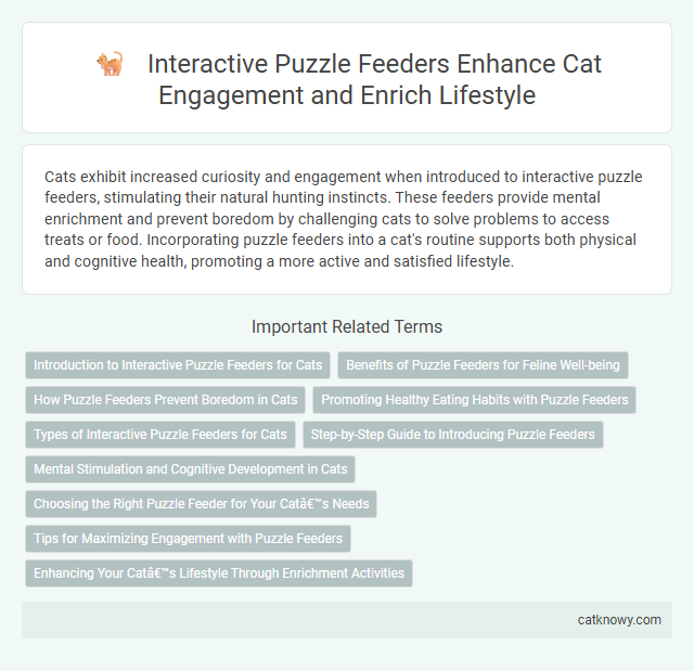 Interactive Puzzle Feeders Enhance Cat Engagement and Enrich Lifestyle