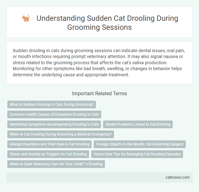 Understanding Sudden Cat Drooling During Grooming Sessions
