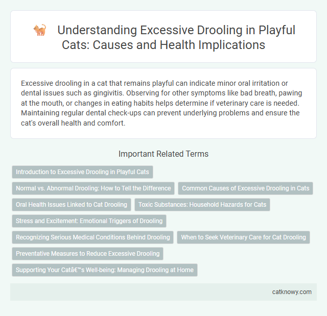 Understanding Excessive Drooling in Playful Cats: Causes and Health Implications