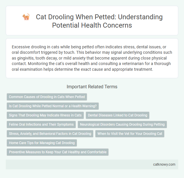 Cat Drooling When Petted: Understanding Potential Health Concerns