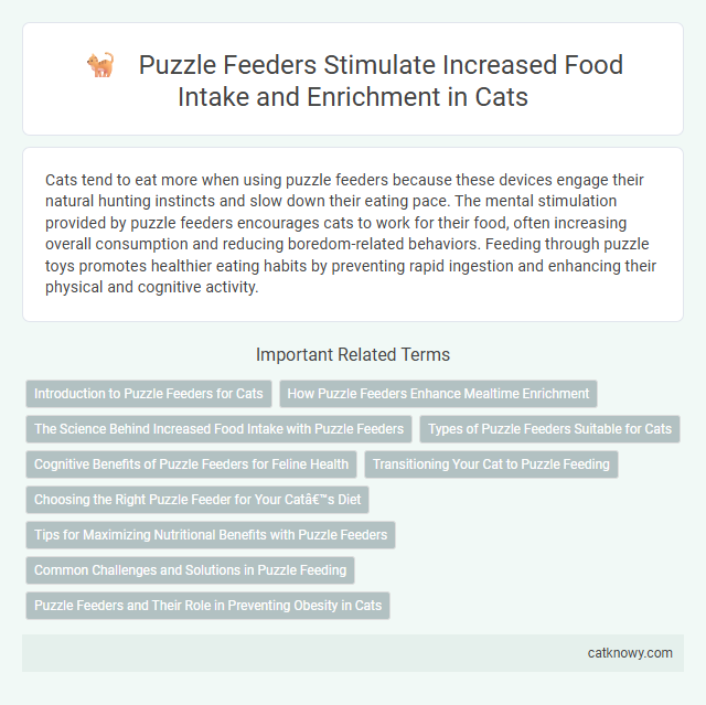 Puzzle Feeders Stimulate Increased Food Intake and Enrichment in Cats