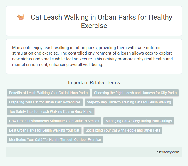 Cat Leash Walking in Urban Parks for Healthy Exercise