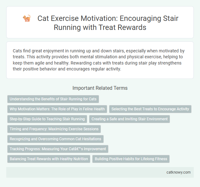 Cat Exercise Motivation: Encouraging Stair Running with Treat Rewards