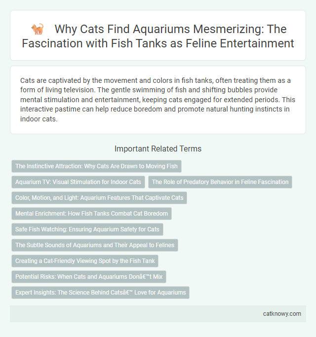 Why Cats Find Aquariums Mesmerizing: The Fascination with Fish Tanks as Feline Entertainment