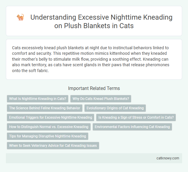 Understanding Excessive Nighttime Kneading on Plush Blankets in Cats