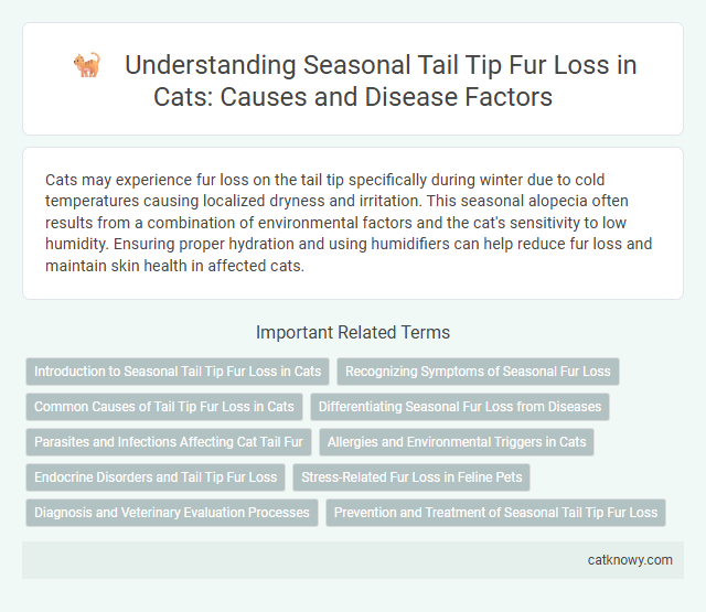 Understanding Seasonal Tail Tip Fur Loss in Cats: Causes and Disease Factors