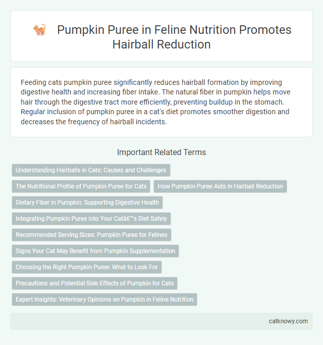 Pumpkin Puree in Feline Nutrition Promotes Hairball Reduction