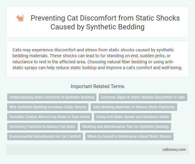 Preventing Cat Discomfort from Static Shocks Caused by Synthetic Bedding