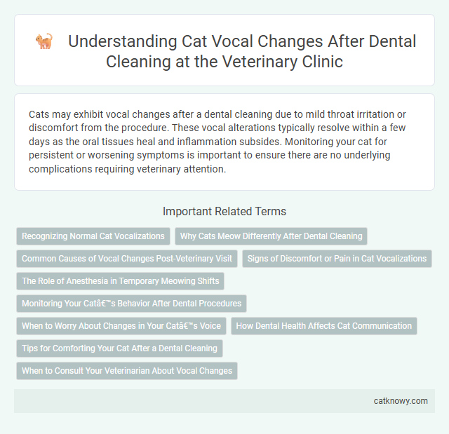 Understanding Cat Vocal Changes After Dental Cleaning at the Veterinary Clinic