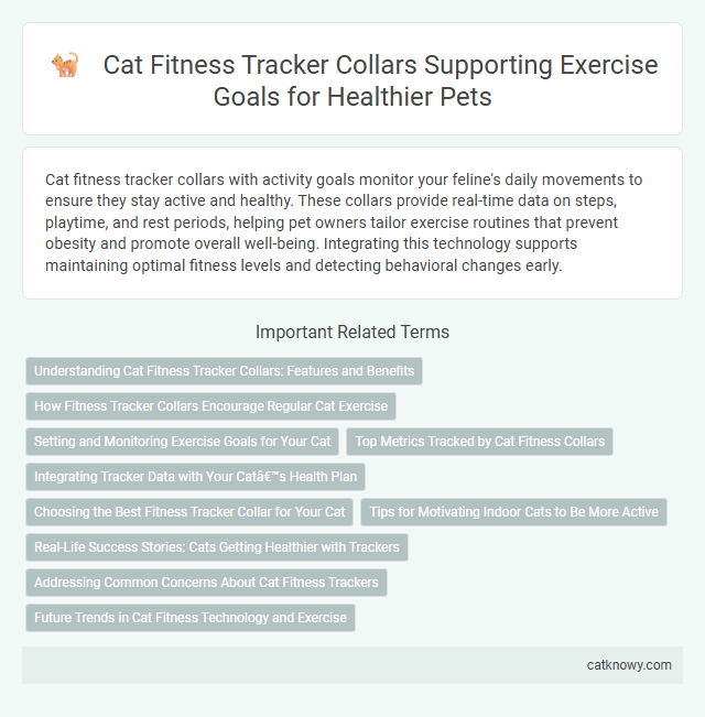 Cat Fitness Tracker Collars Supporting Exercise Goals for Healthier Pets