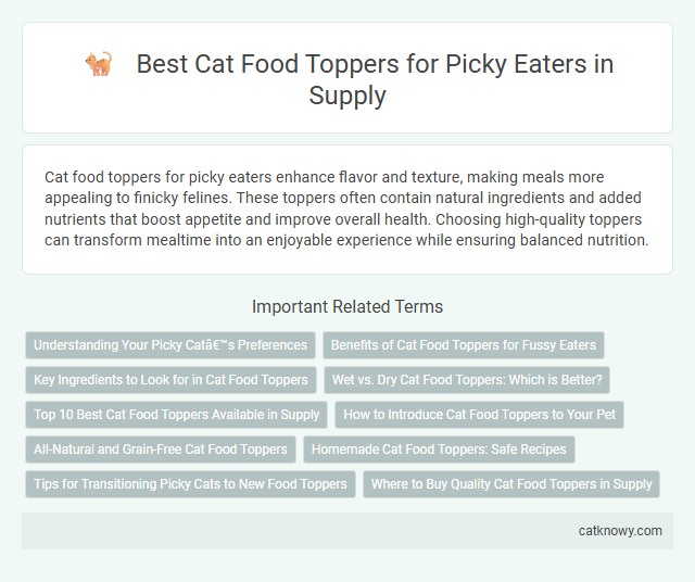 Best Cat Food Toppers for Picky Eaters in Supply