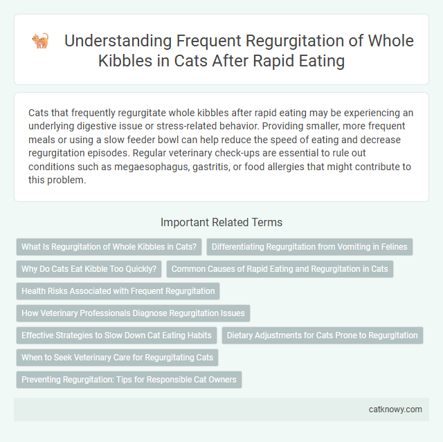 Understanding Frequent Regurgitation of Whole Kibbles in Cats After Rapid Eating