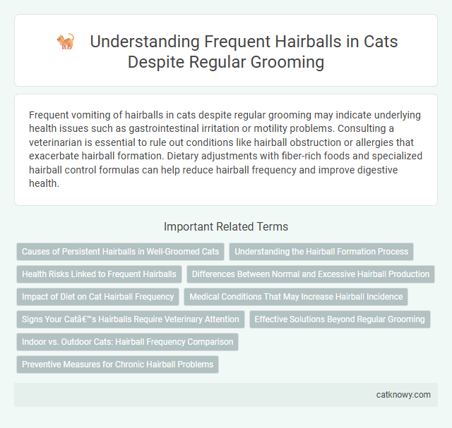 Understanding Frequent Hairballs in Cats Despite Regular Grooming