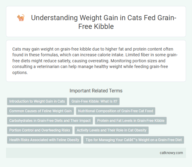 Understanding Weight Gain in Cats Fed Grain-Free Kibble