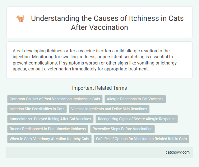 Understanding the Causes of Itchiness in Cats After Vaccination
